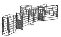 RSOS_8 Rough Stock Open Sweep w 30' Adj Alley, Preg Panels, Blocking Gates, 8' Sorting Gate